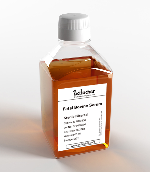 S-FBS-100 Fetal Bovine Serum 胎牛血清